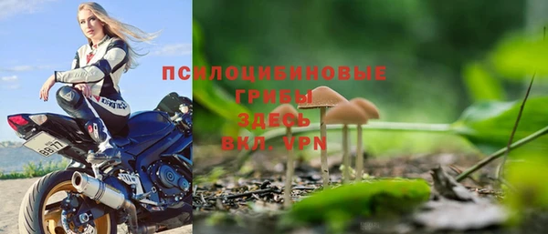 тгк Алзамай